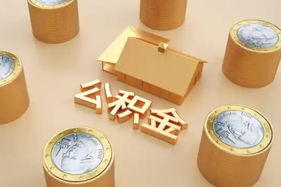 岳阳退休公积金代办提取额度是多少？